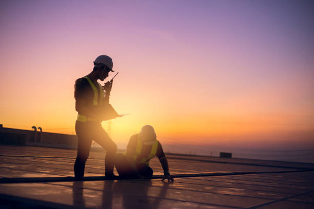Best Storm Damage Roof Repair  in Palmer, AK