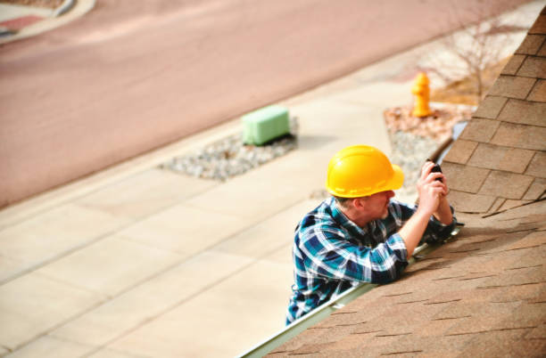 Best Roof Repair Services  in Palmer, AK