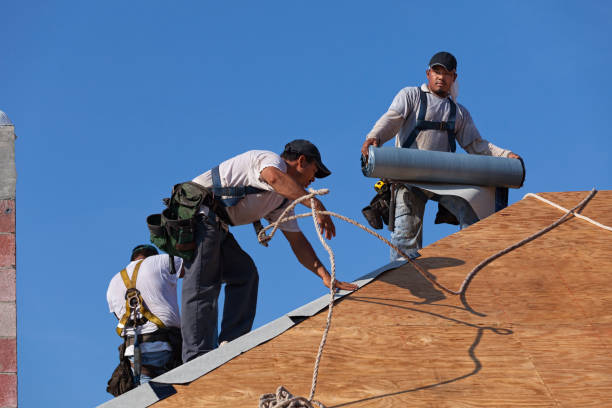 Best Emergency Roof Repair  in Palmer, AK