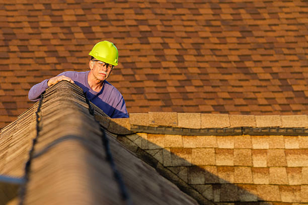 Best Shingle Roofing Installation  in Palmer, AK