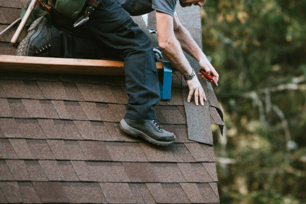 Best New Roof Installation  in Palmer, AK